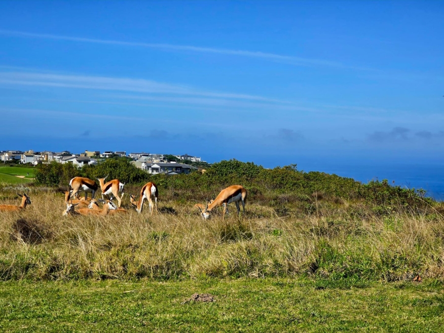 8 Bedroom Property for Sale in Oubaai Western Cape